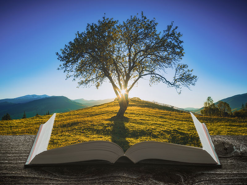 Bildung und Ausbildung